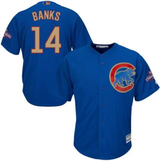 Chicago Cubs #14 Ernie Banks Blue World Series Champions Gold Program New Cool Base Stitched Jersey JiaSu