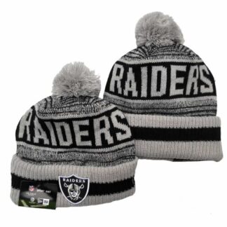 Oakland Raiders Team Logo Knit Hat YD (8)