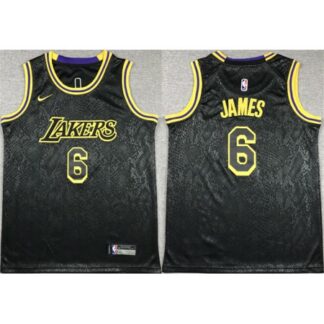 Youth Los Angeles Lakers #6 LeBron James Black Stitched Basketball Jersey 7QY7